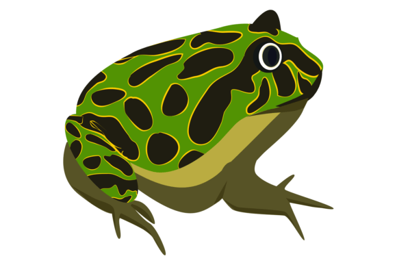 Download Tropical Toad. Colorful Spot Amphibia. W - Spot Collection